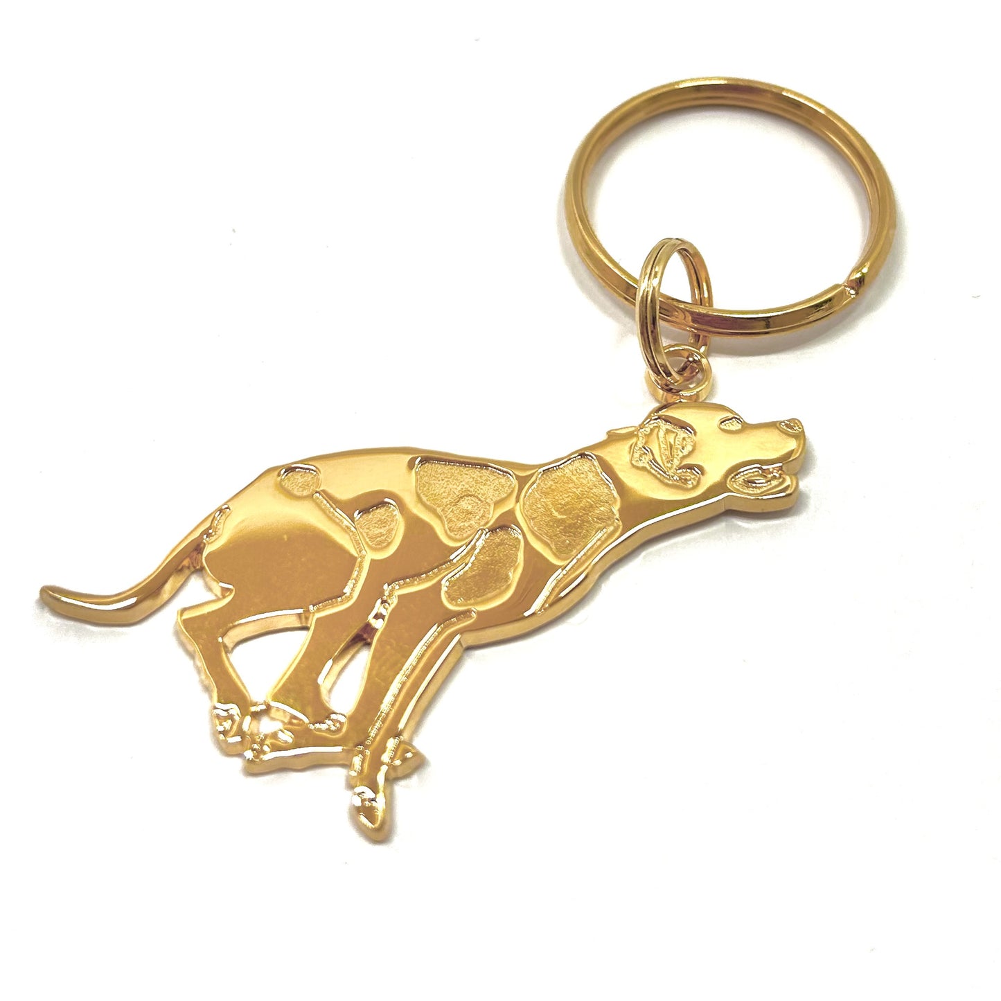 Portachiave Pointer Oro fronte
