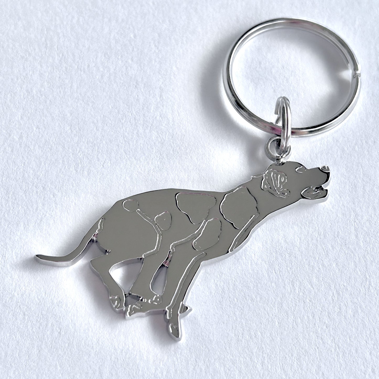 Portachiavi Pointer Argento Fronte