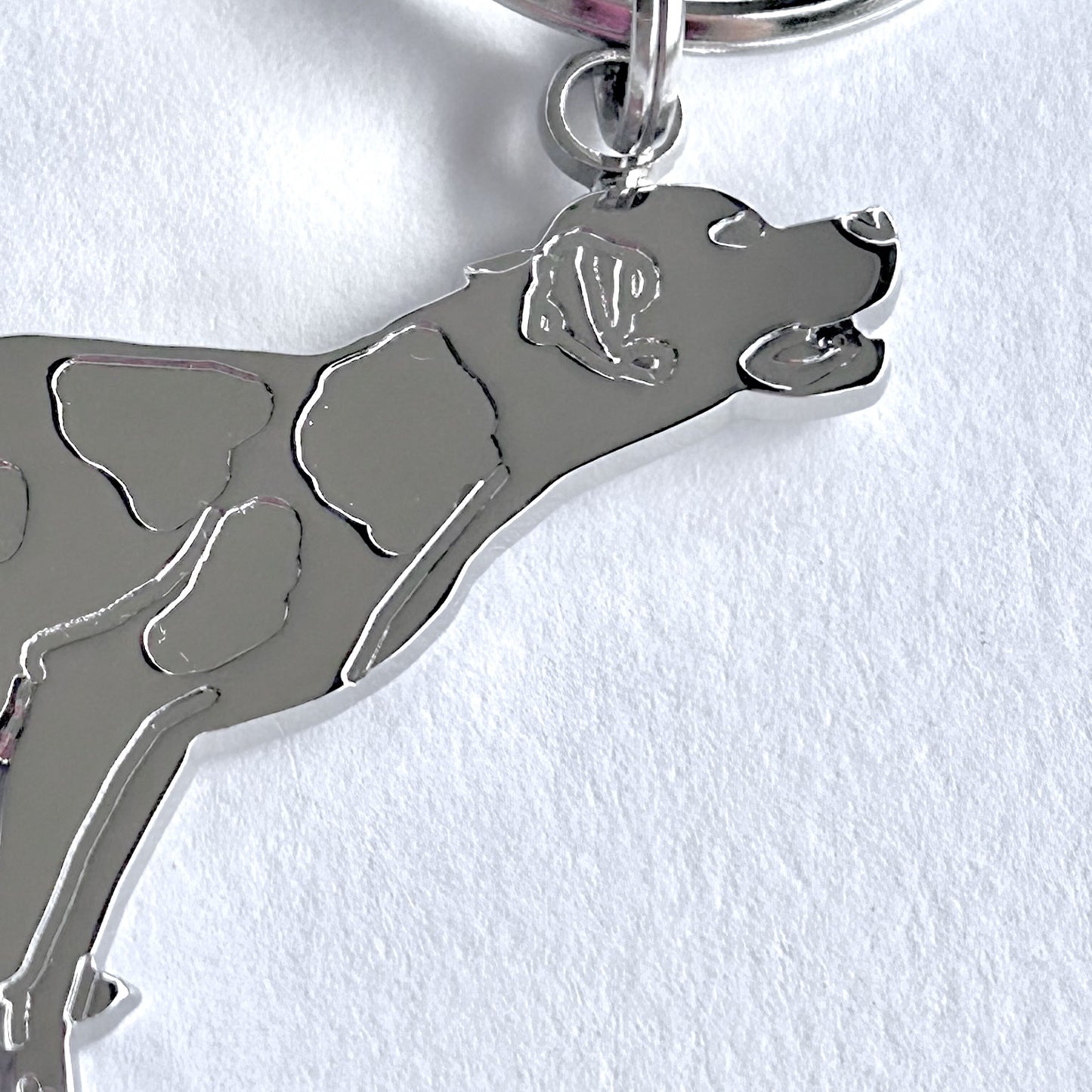 Portachiavi Pointer Argento Fronte dettaglio