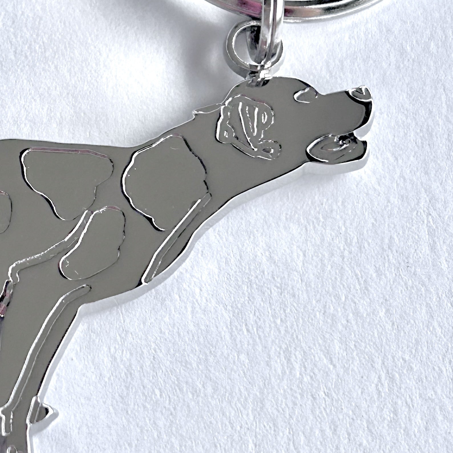 Portachiavi Pointer Argento Fronte dettaglio