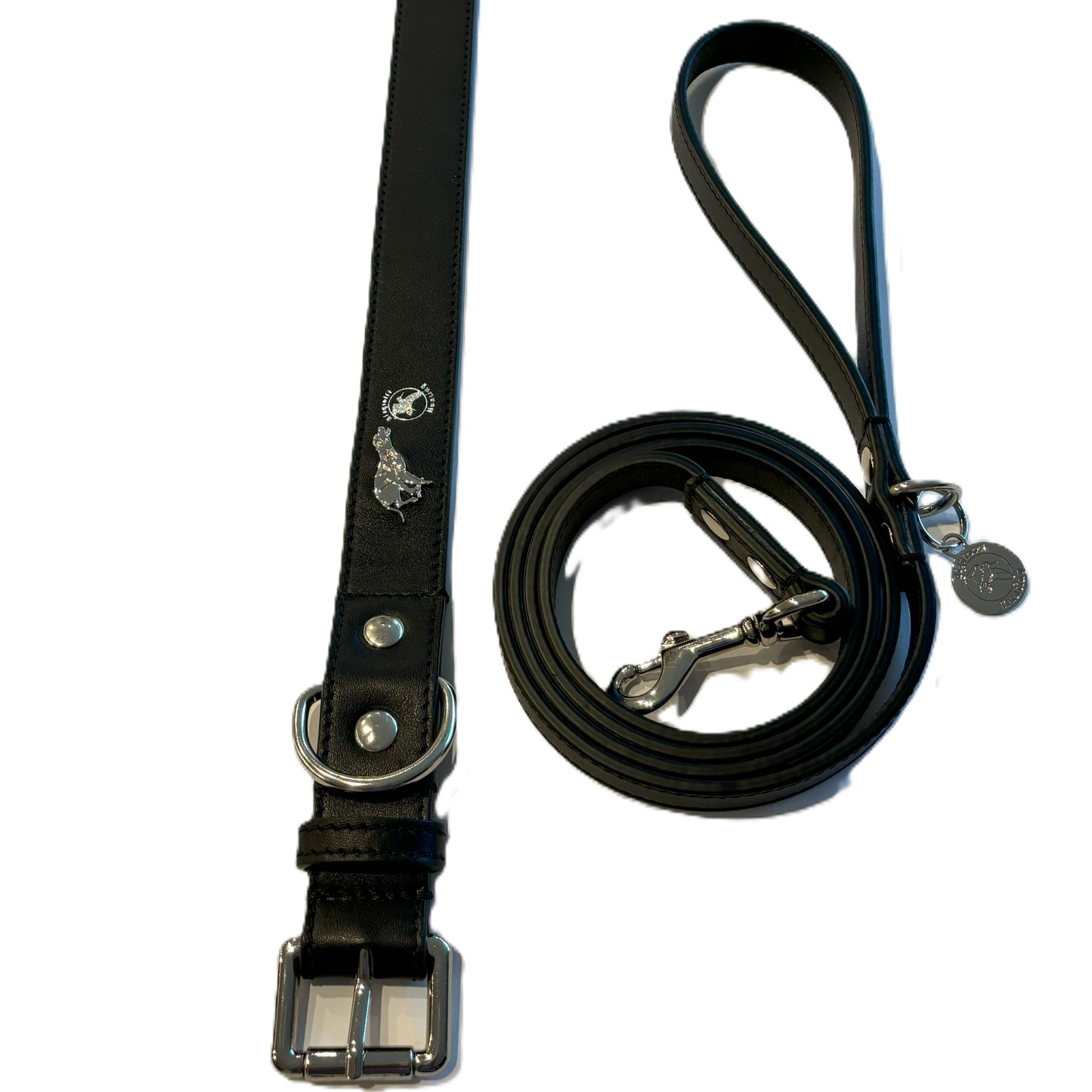 Set guinzaglio e collare in pelle
